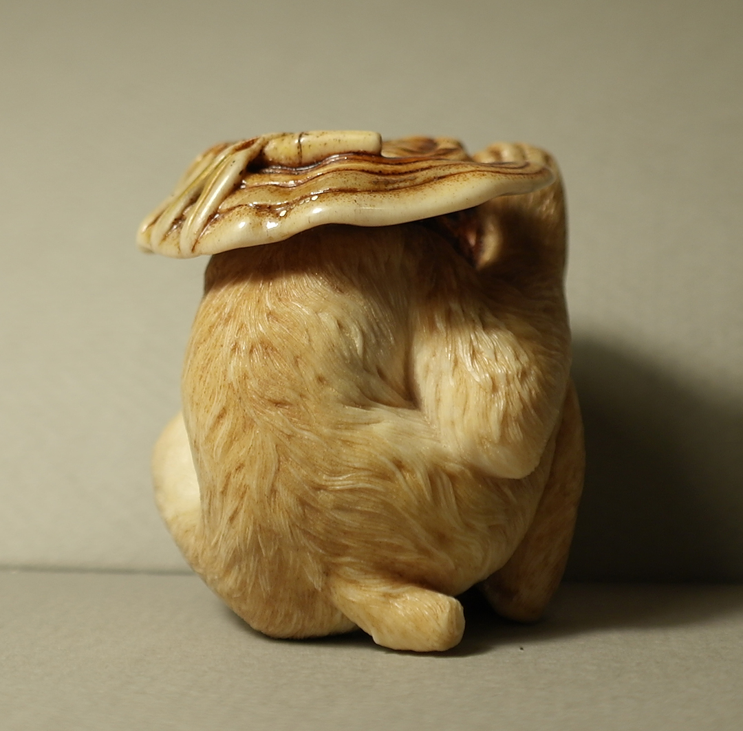 Monkey and reishi005